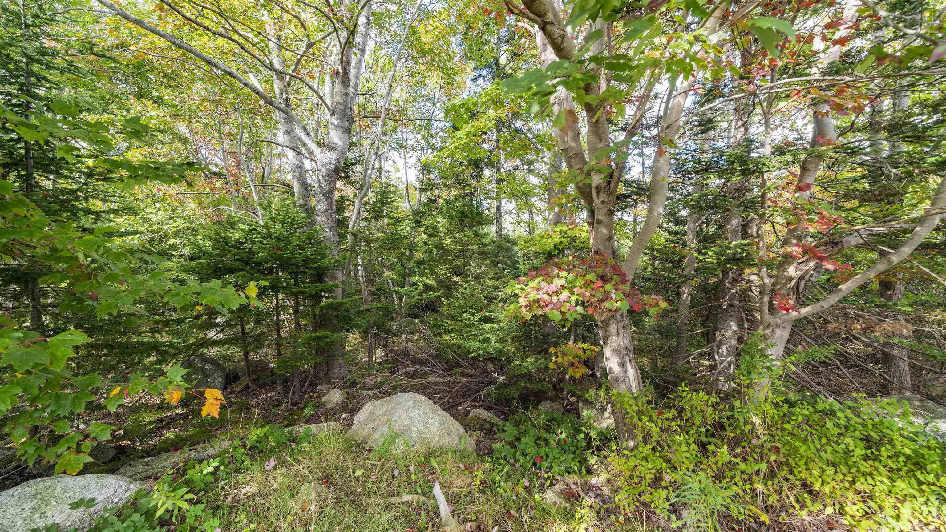 View image 36