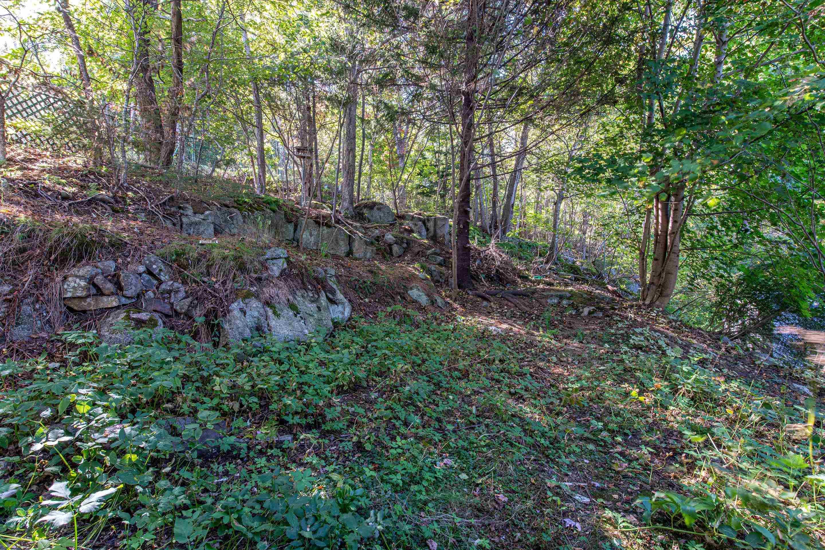 View image 3