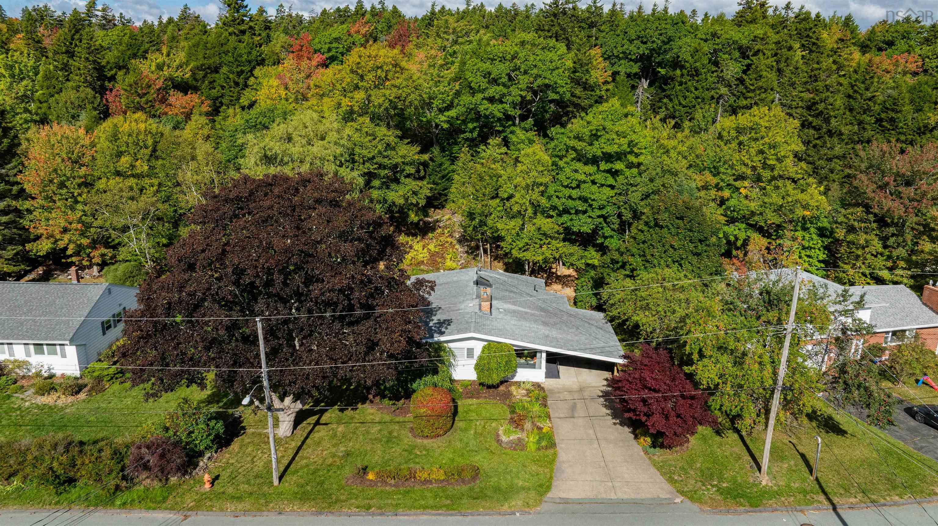 View image 11