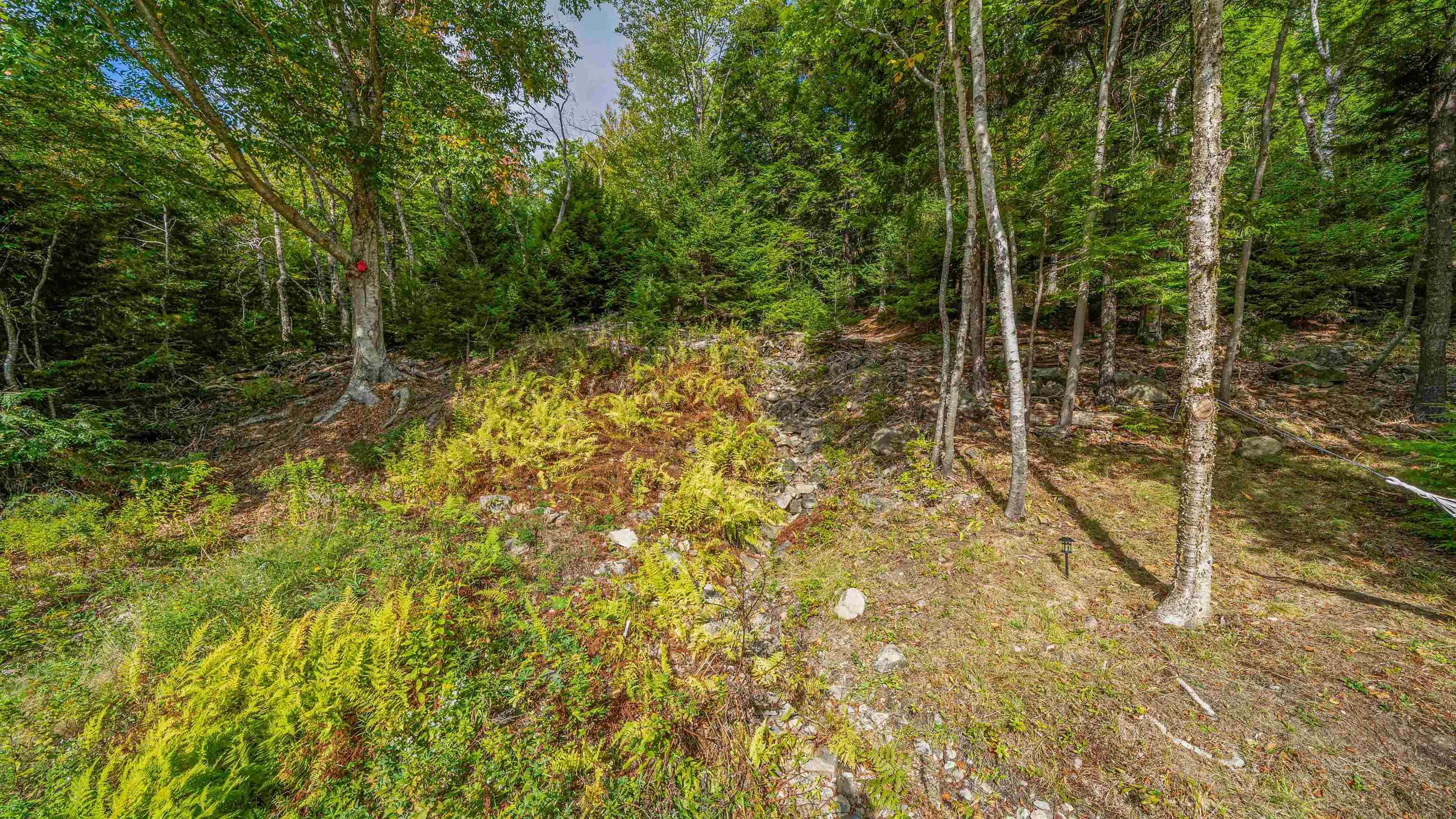 View image 39