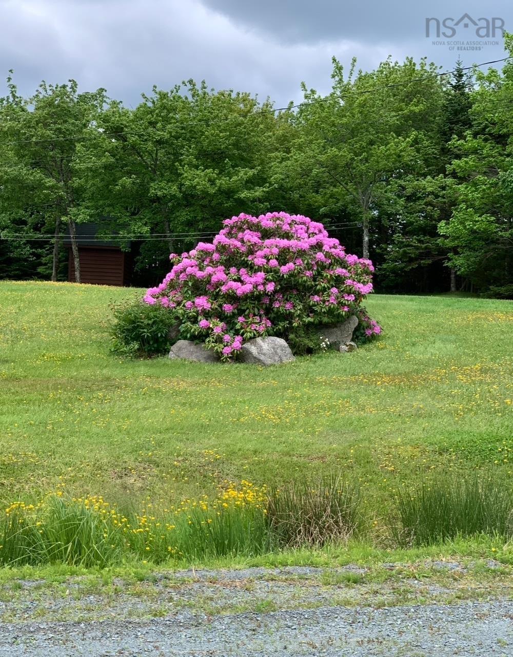 View image 42
