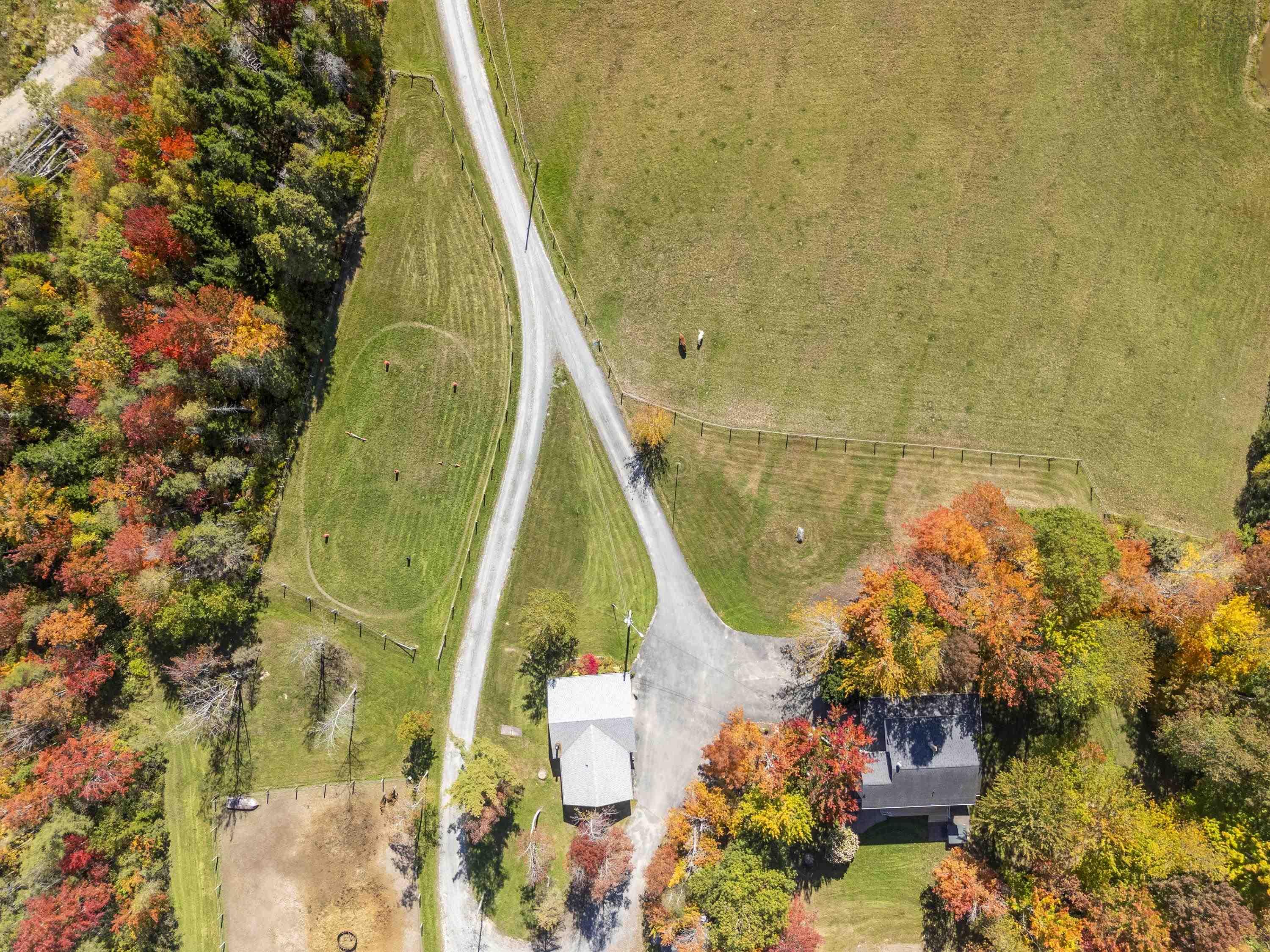 View image 43