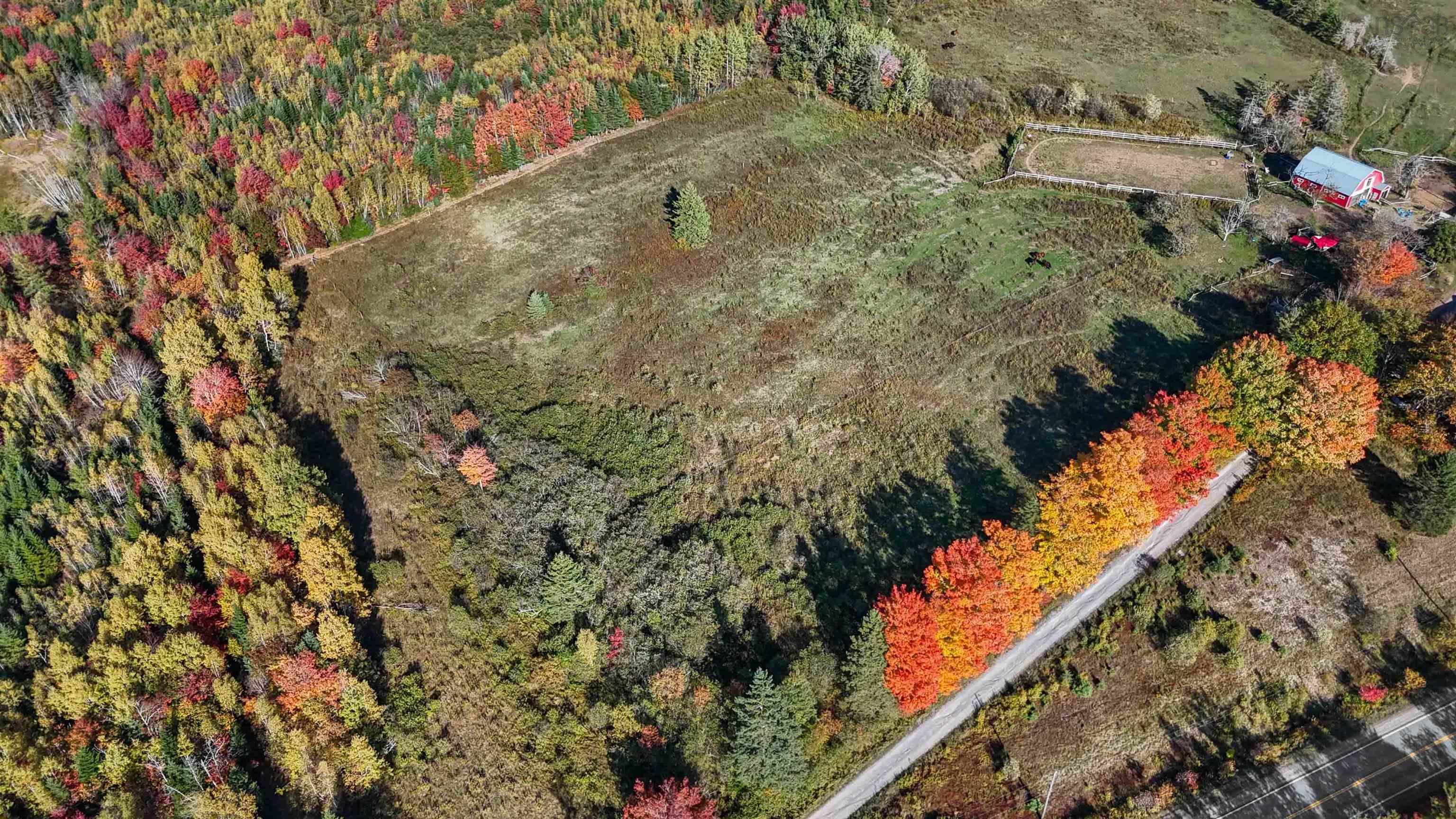 Thumbnail image for 15614 Highway 224 MLS<sup>®</sup> 202525660