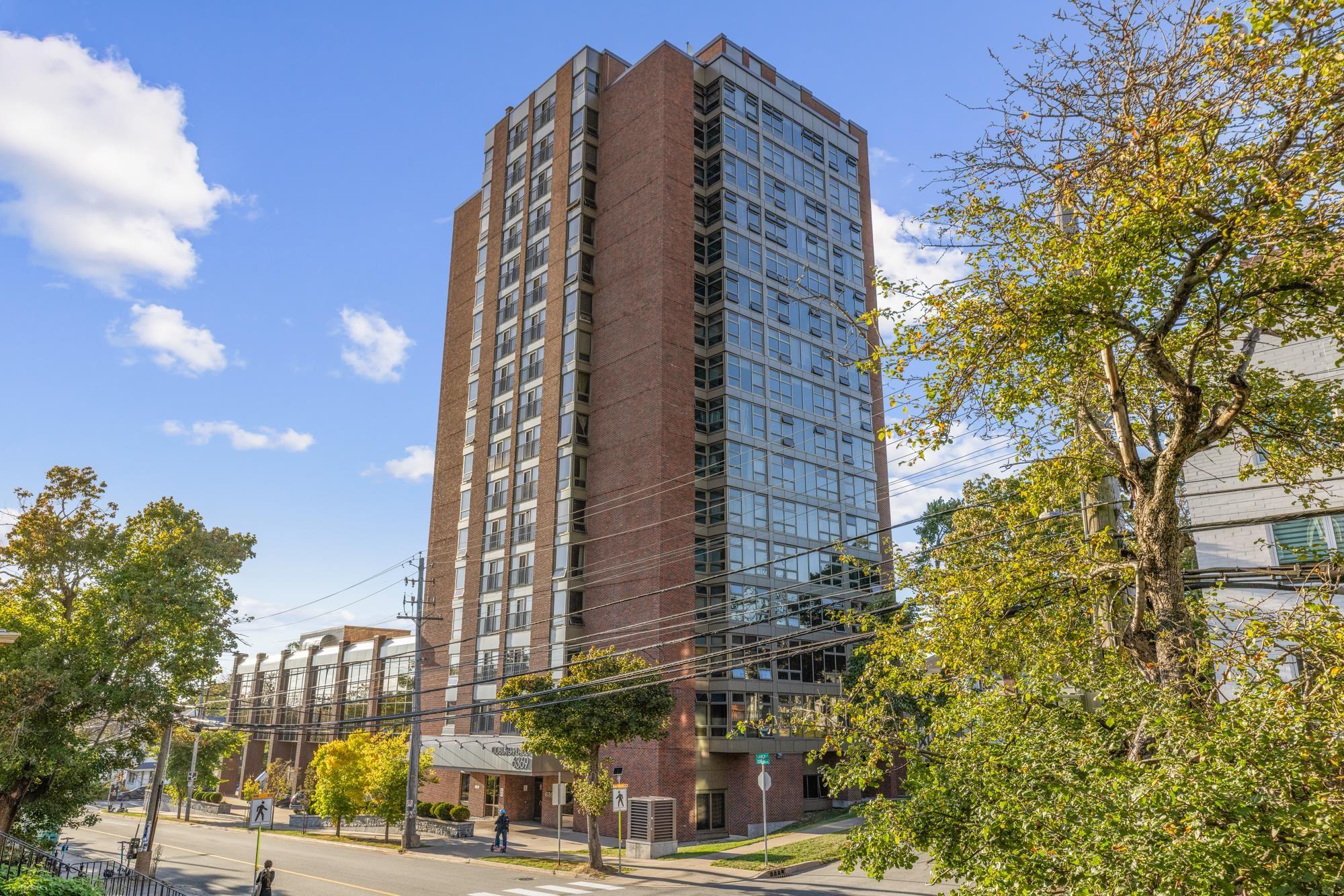 View image 11
