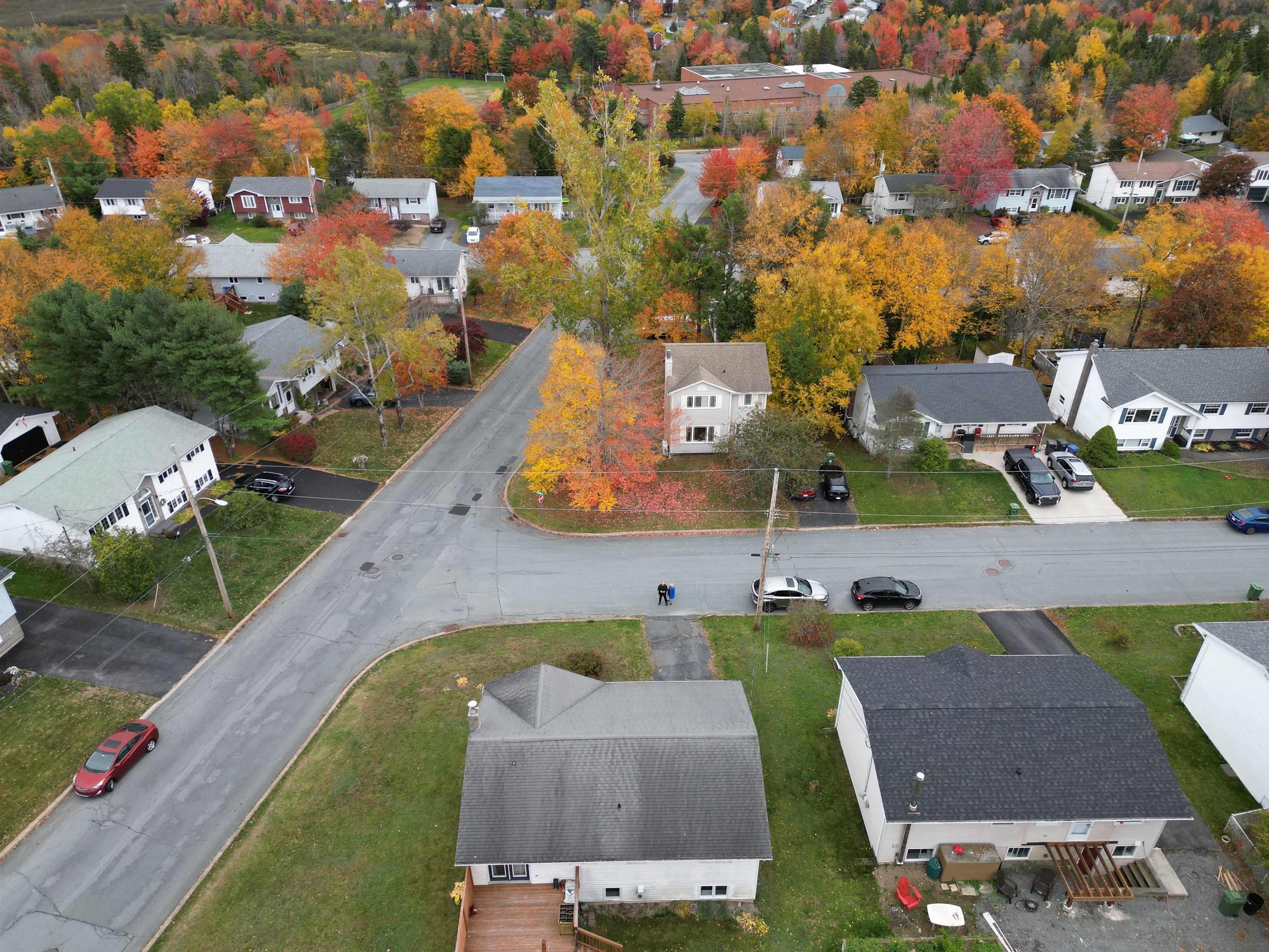 View image 15