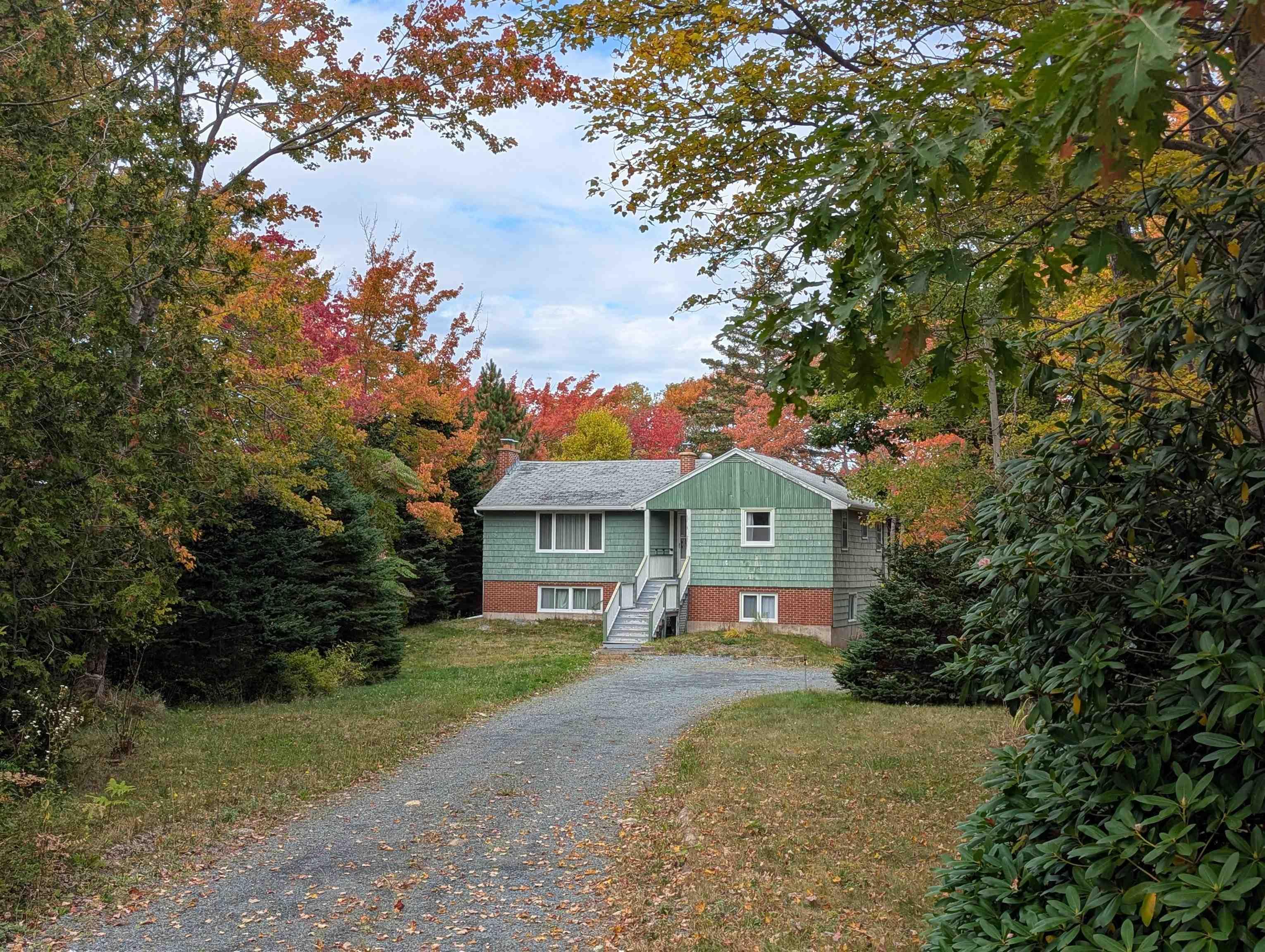 View image 11