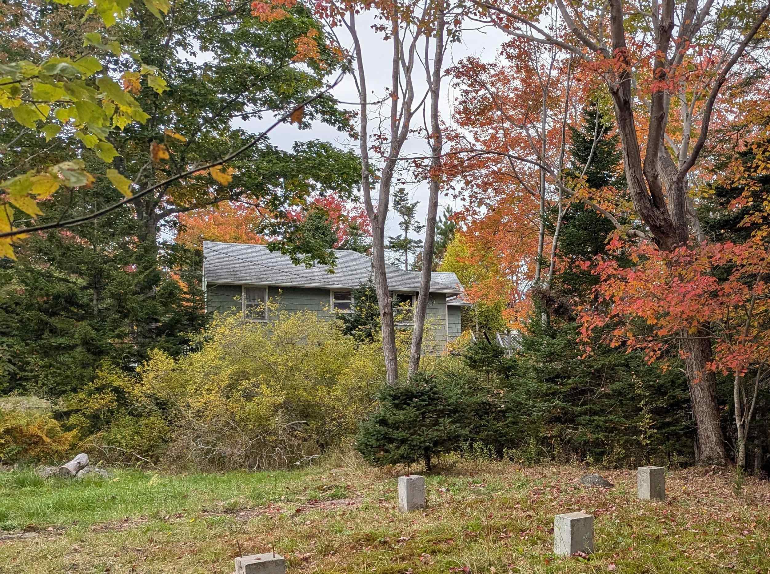 View image 15