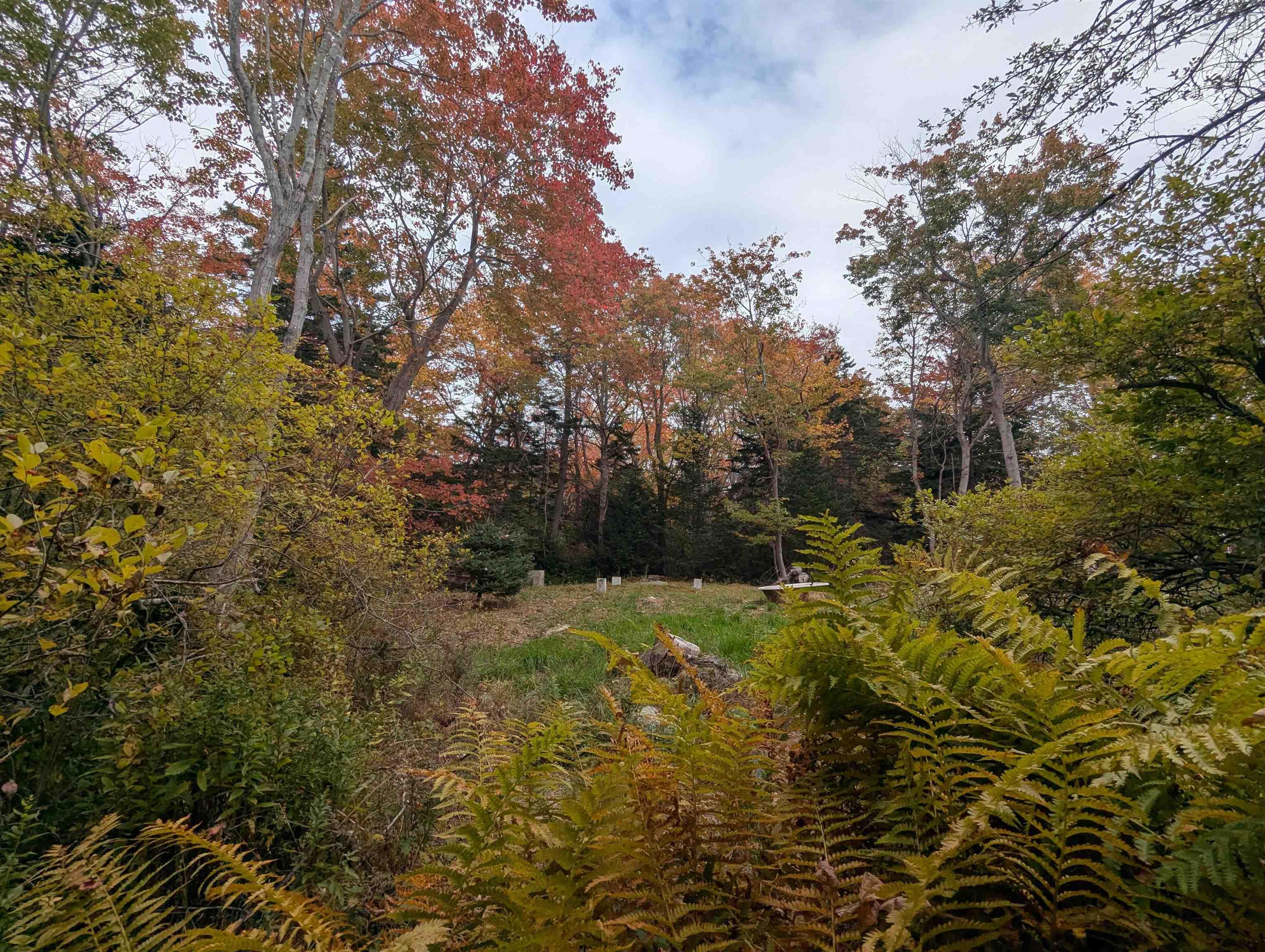 View image 17