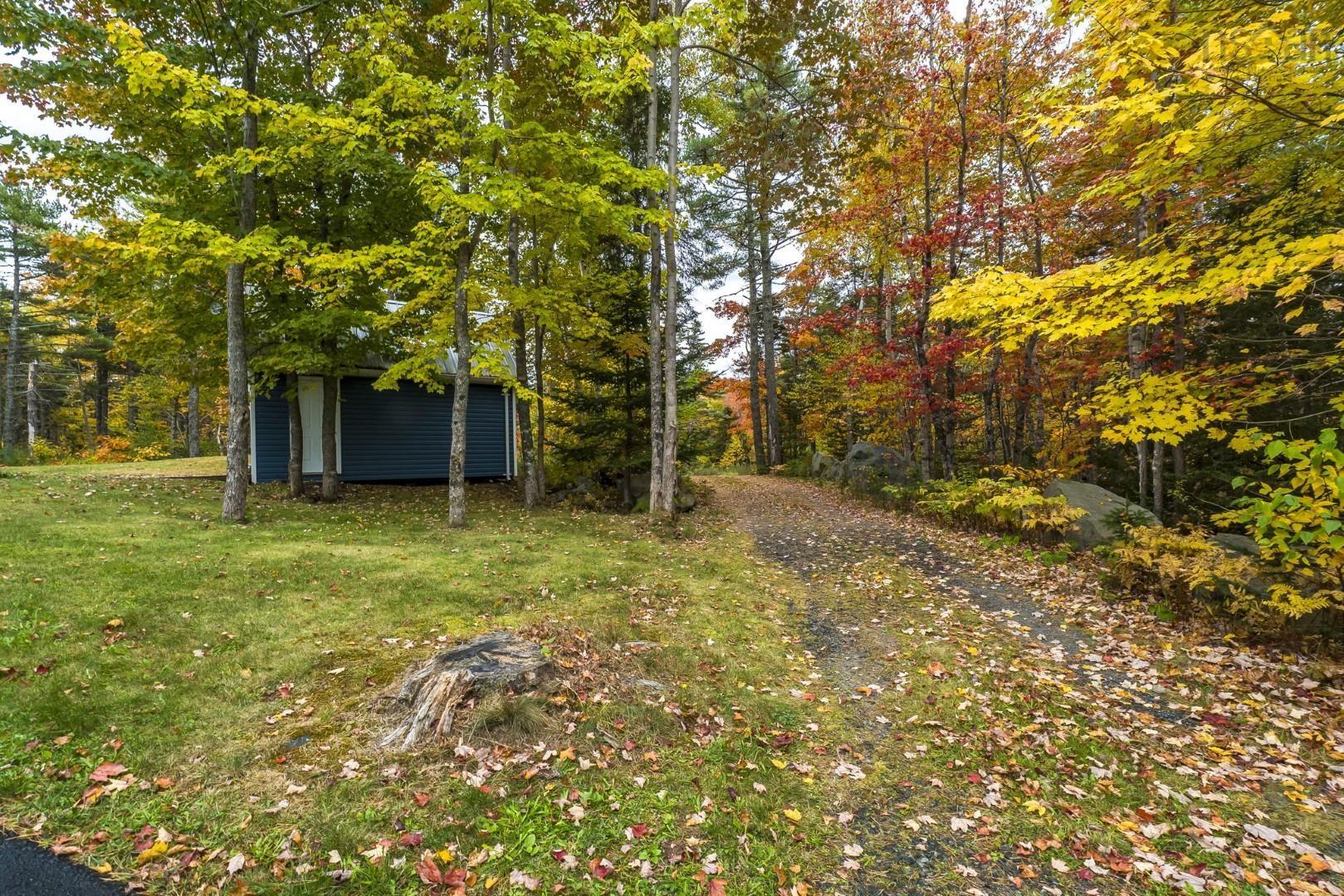View image 39