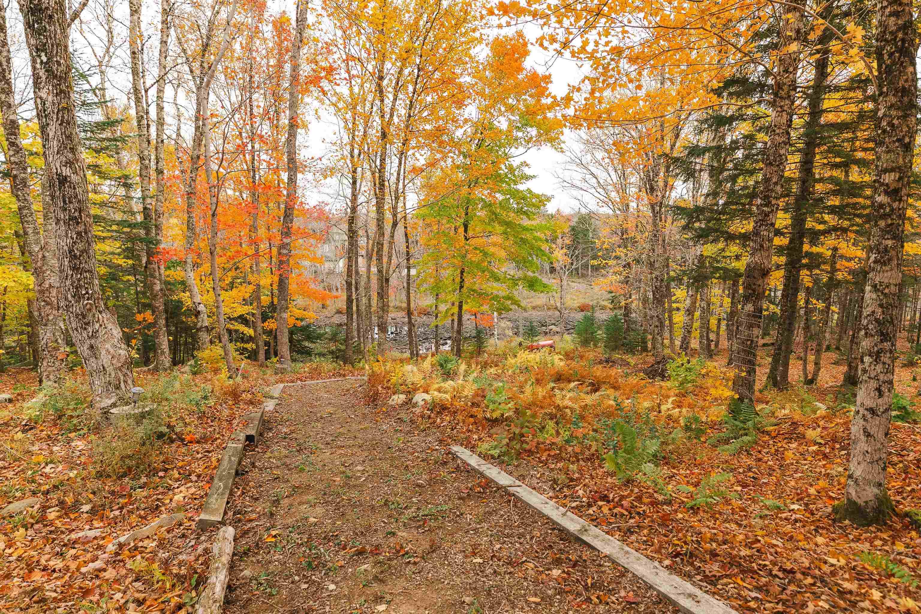 View image 43