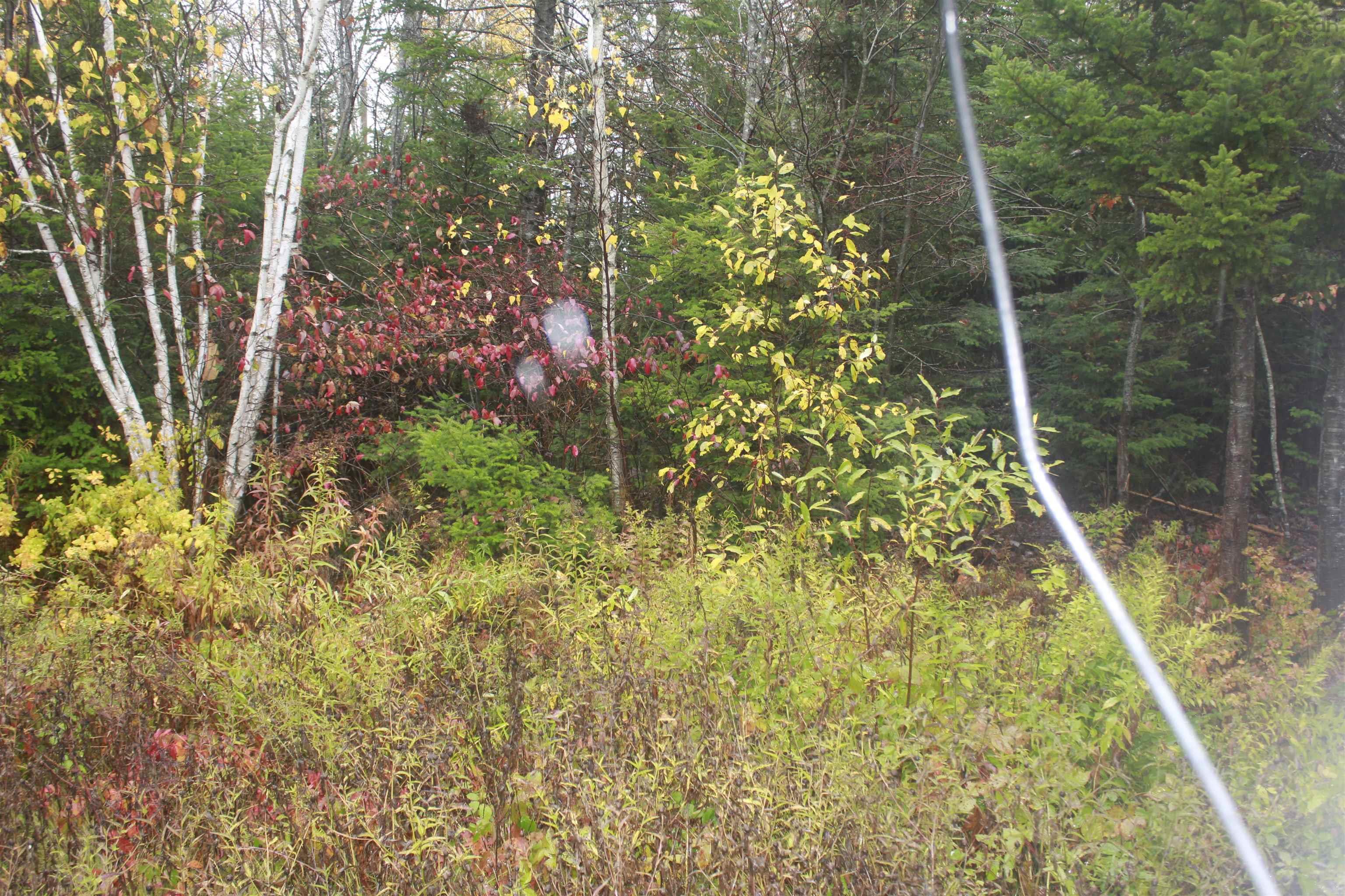View image 17