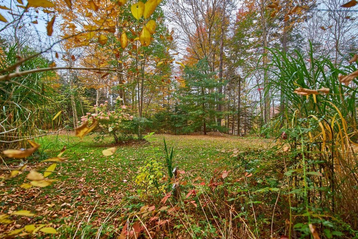 View image 30