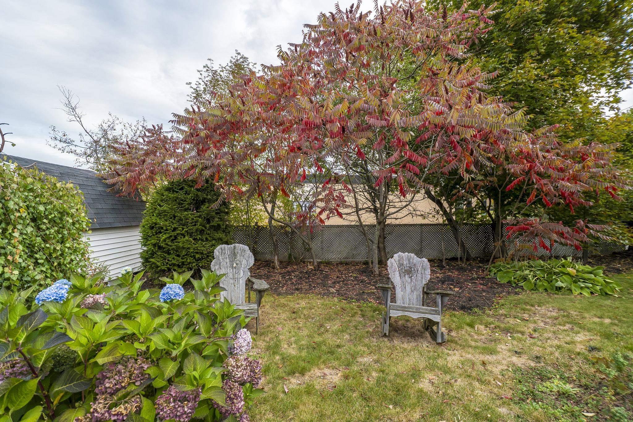 View image 36