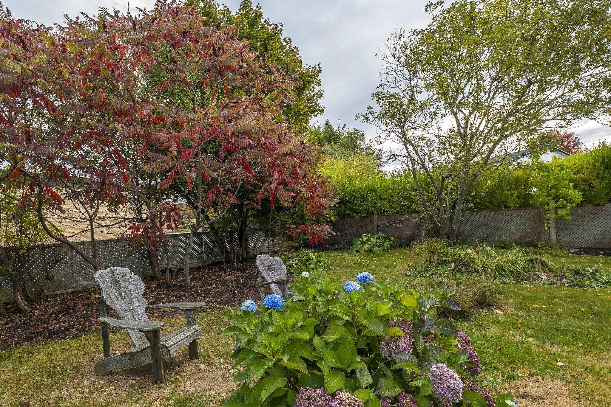 View image 38
