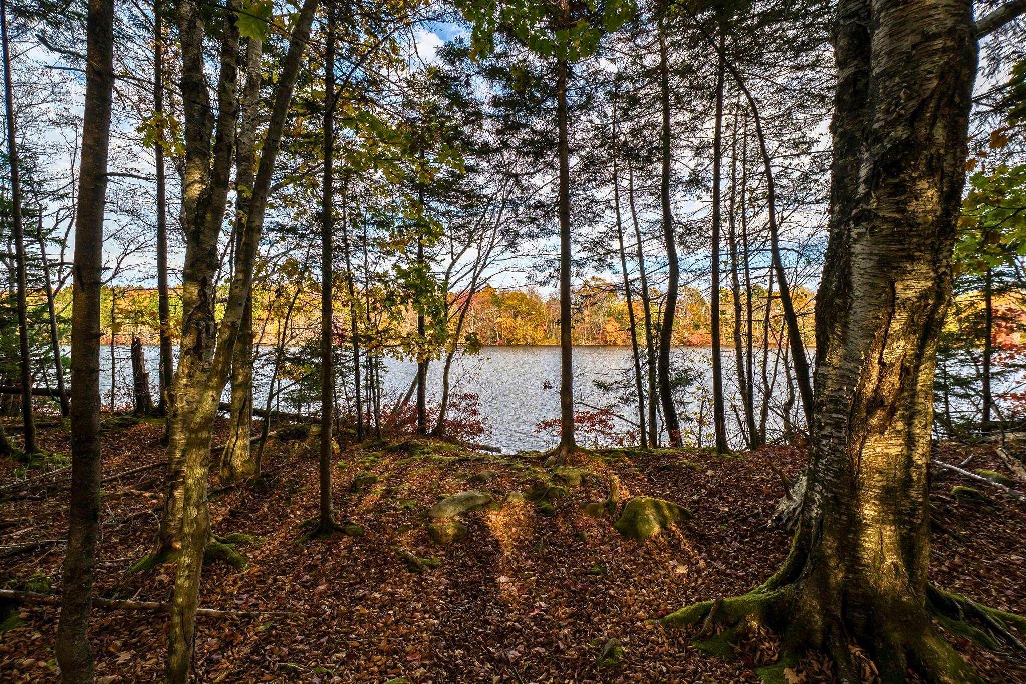 View image 29