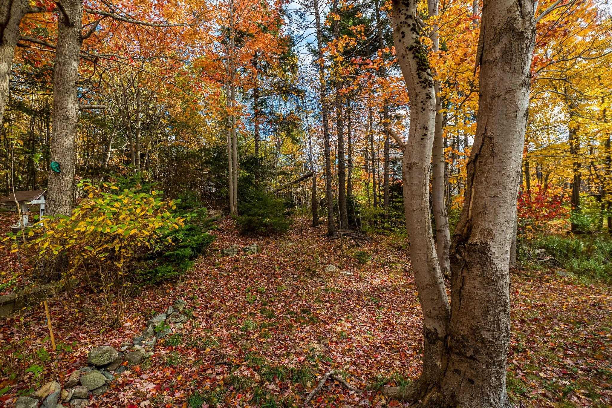 View image 32