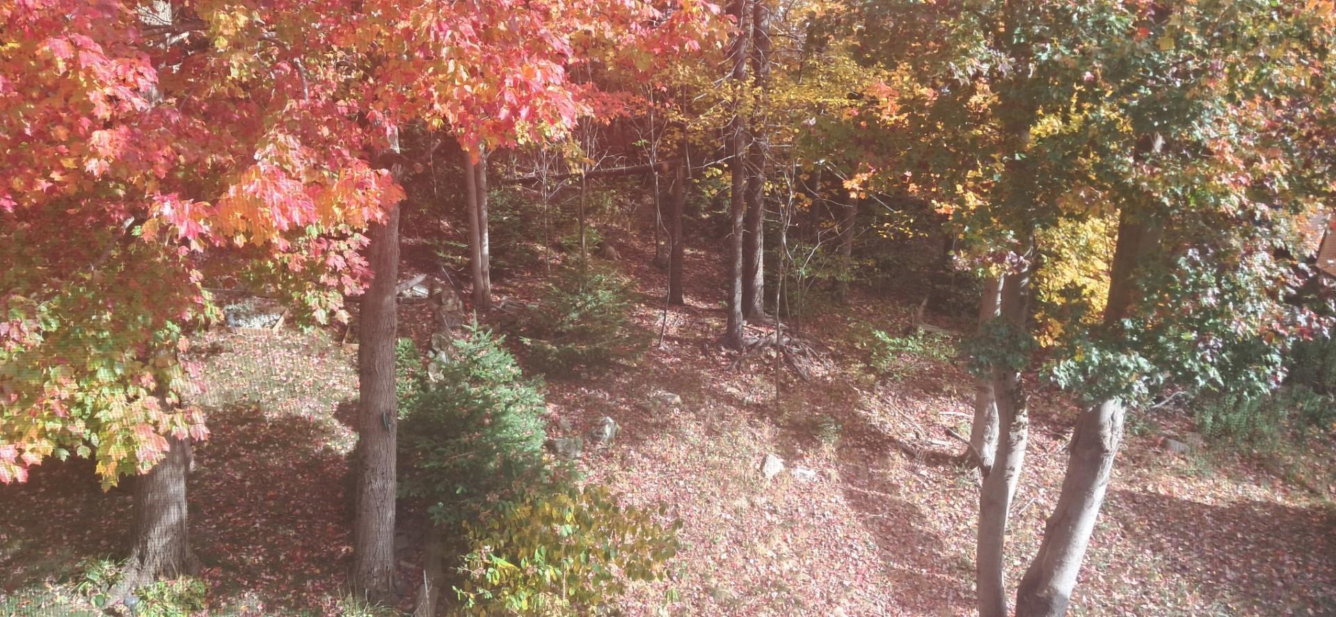 View image 45