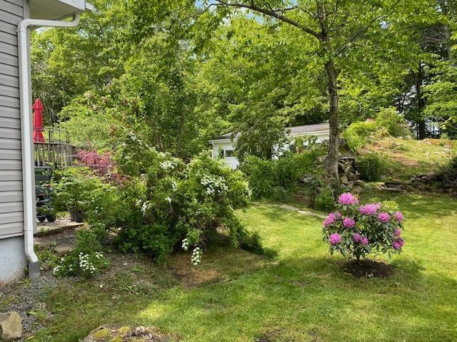 View image 35