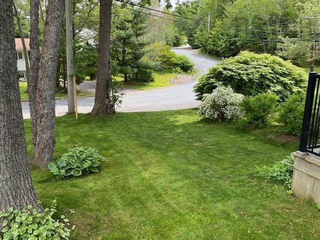 View image 41