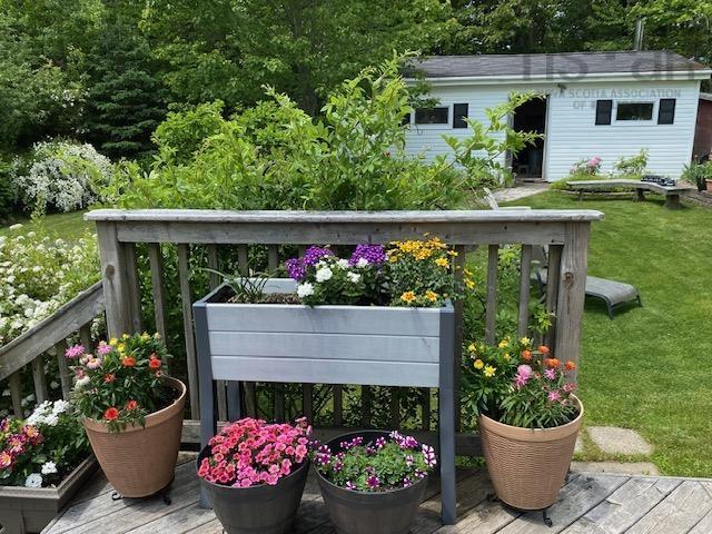 View image 42