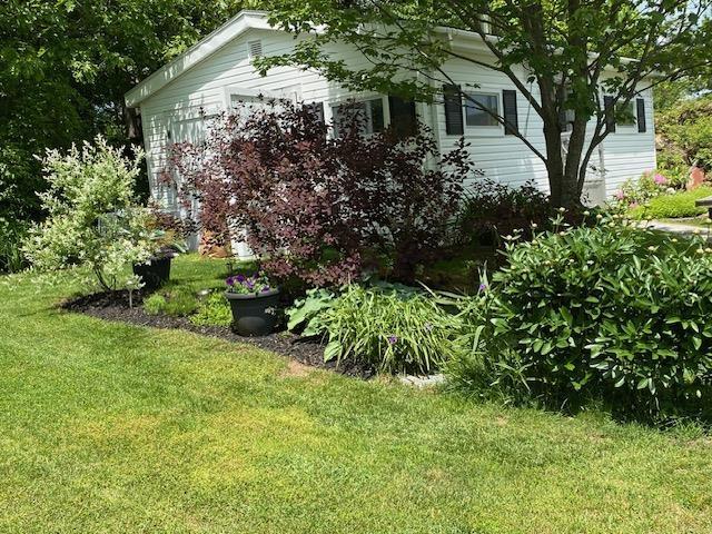 View image 43