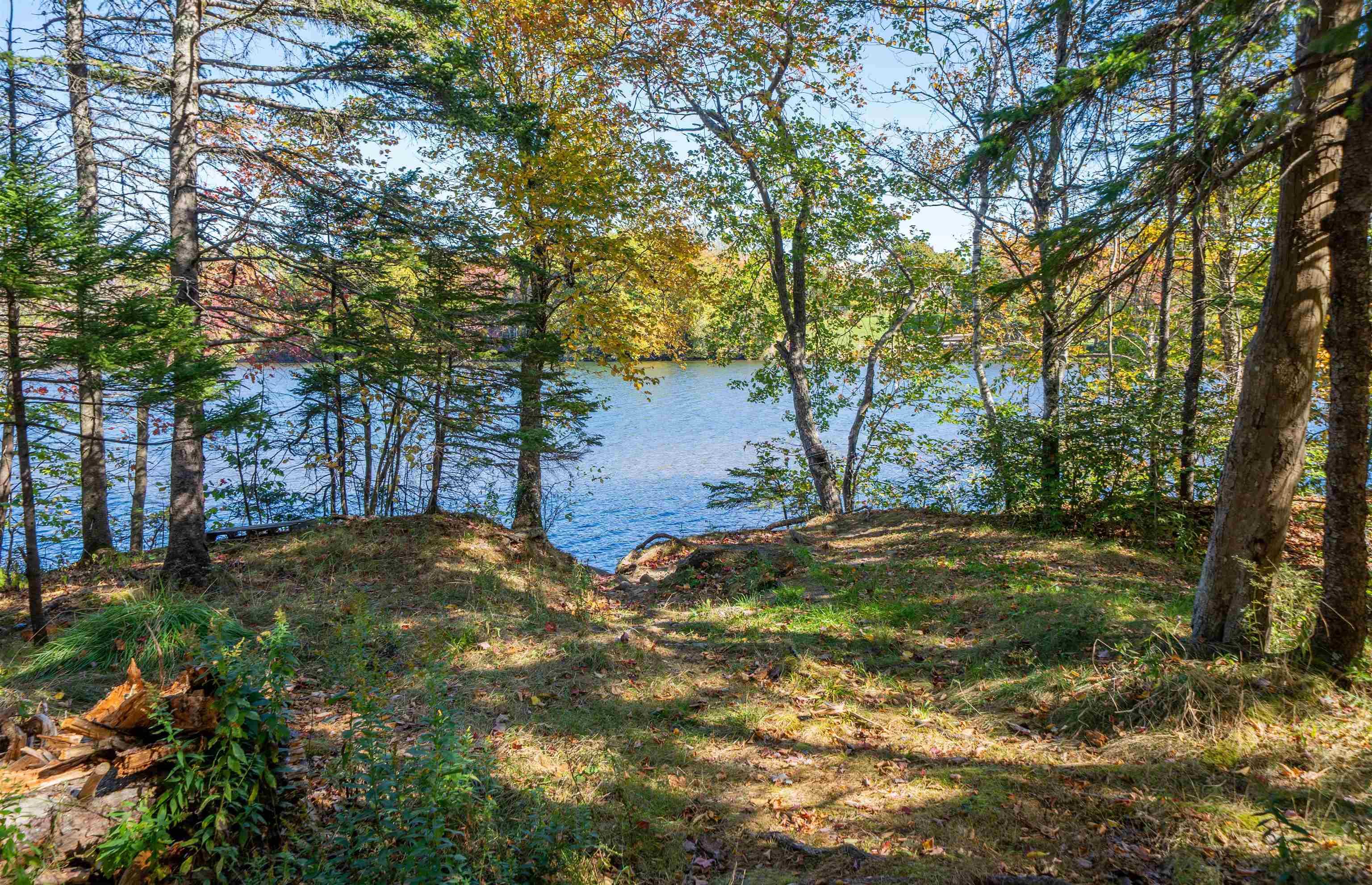 Thumbnail image for 14 Regal Road MLS<sup>®</sup> 202526993